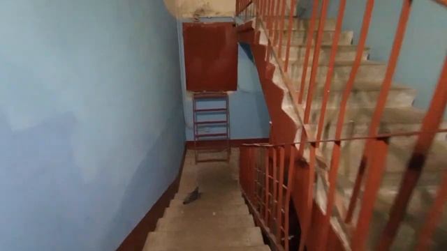 Энгельса 147к2 подъезд 2. Обшарпанный Невский Лифт МЛМ и порванный стояк освещения на лестнице. смотреть онлайн