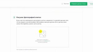 Биология, 8 класс. Разбор проектного задания "Животная клетка: изучаем и моделируем"