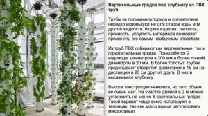 Вертикальная грядка для клубники: как сделать, правила посадки, подготовка к зиме