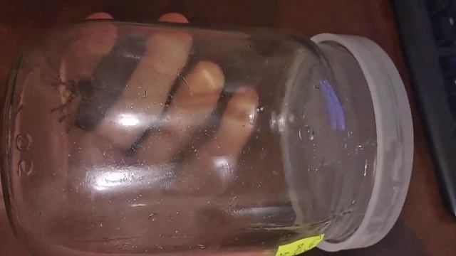 залетела большая оса в комнату 27.08.2021 смотреть онлайн