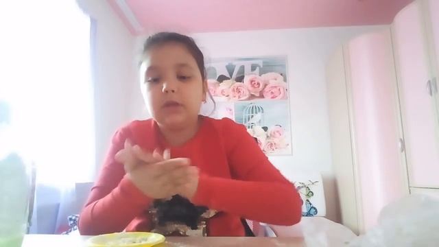 Делаю лизун который можно мыть руки смотреть онлайн