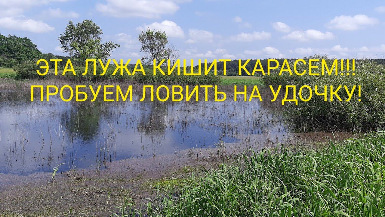 В ПОИСКАХ РЫБЫ ПО ДИКИМ ОЗЕРАМ!!! УЛОВИСТАЯ ЛУЖА!!! КАБАНЫ ПОШЛИ В ОКРУЖЕНИЕ!!! смотреть онлайн
