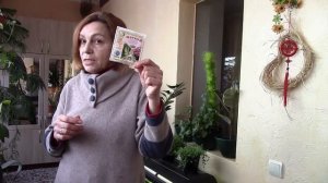 Циркон творит чудеса! Ускоритель роста циркон! Семена проклюнулись моментально!