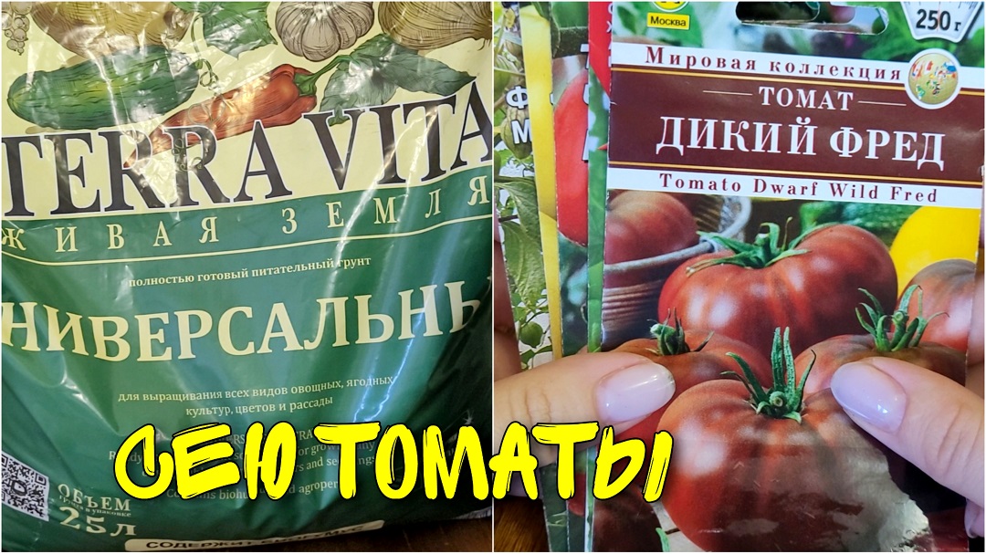 Как посеять томаты на рассаду без заморочек? сезон 2023 #томаты #какпосеятьтоматы #посевтоматов
