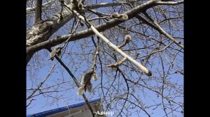 Воронеж.Погода 11 апреля 2018