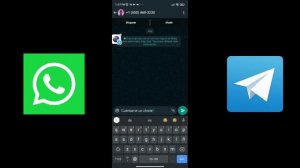 Bot whatsapp y Telegram integrado con ChatGPT paso a paso