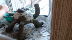 Черепаха из цемента своими руками.tartaruga de cimento.cement turtle