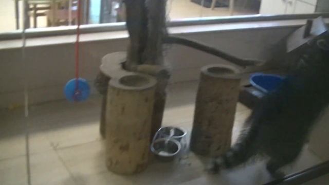 Где отдохнуть в Калужской обл.? Обзор Отель "ЯХОНТЫ Таруса". Часть 5 - Развлечения и спорт смотреть онлайн