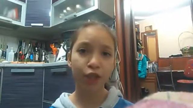 Мои питомцы :3