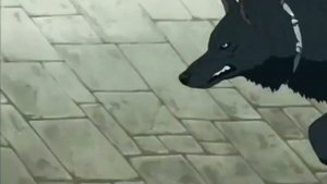 IN COLD (AMV) - Wolf's rain.mp4