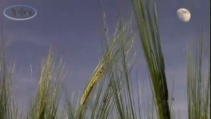 Но ты пока будешь называть его – мама.