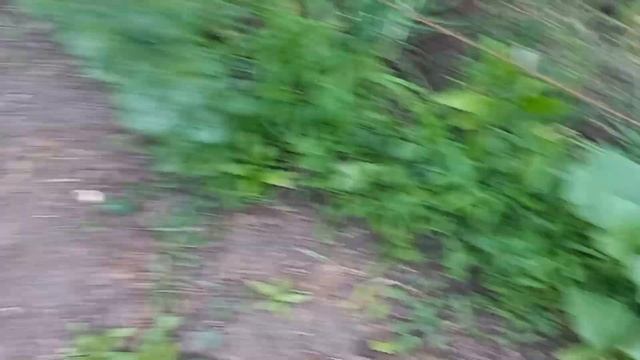 Вот так проходит мой деревенский вечер смотреть онлайн