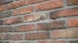 Кирпич который удивит