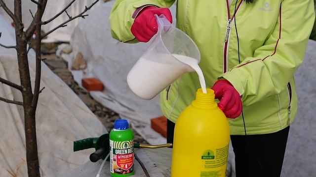 ОБРАБОТКА САДА ОТ ВРЕДИТЕЛЕЙ – один препарат от всех!