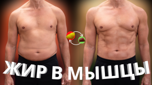 ПЕРЕКАЧАЙ ЖИР В МЫШЦЫ/Как это возможно?