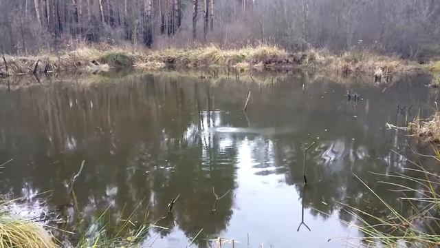 ?Что будет если взорвать мощную петарду в воде?ТЕСТ ПЕТАРД В ВОДЕ?ВЗРЫВАЕМ ПЕТАРДЫ смотреть онлайн