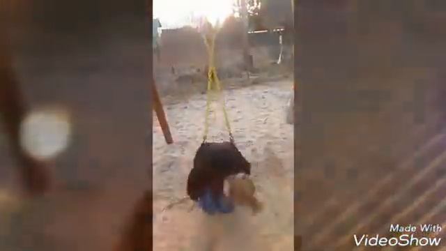 10 способов качаться на качелях