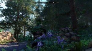 Skyrim Dense Forests 250+ Mods WIP