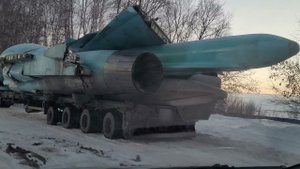 тот самый гадкий утенок который смог
