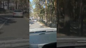 Лиса. W220. Мерседес S класс. Красота в деталях! #w220 #Mercedes #AMG