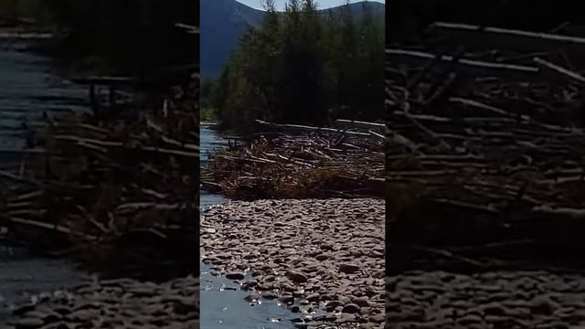 Речка Сеймчан смотреть онлайн