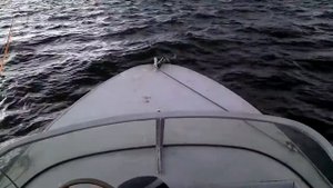 сиа про 9,9 без ручного стартёра