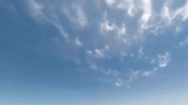 Stranded Deep #2 Охота не мерлина и белую акулу смотреть онлайн