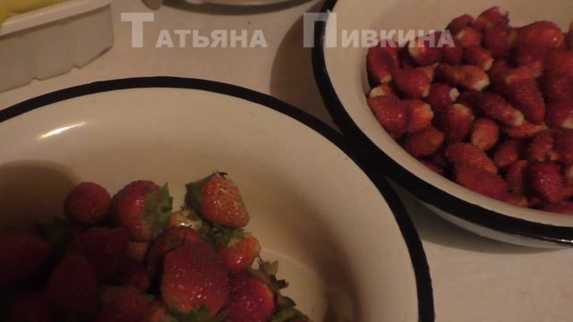 #Земляника/клубника крупноплодная.  28 АВГУСТА 2016 год смотреть онлайн