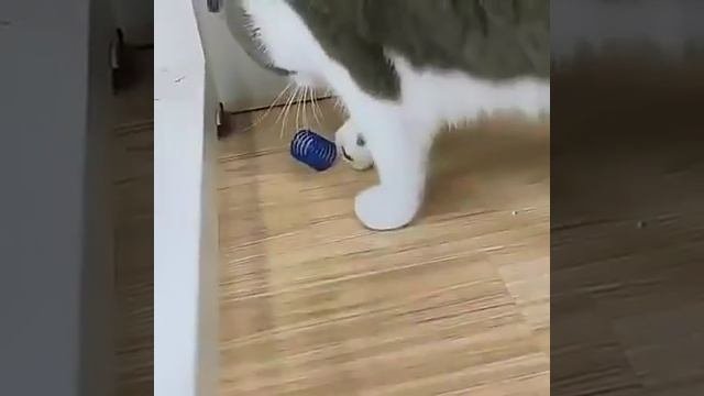 Игрушка для котят