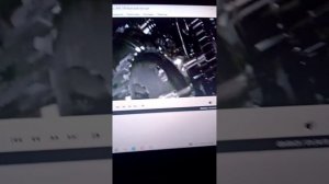 обзор dvd диск утиные истории заветная лампа (1990)