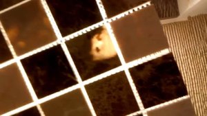 Фартук из мозаики после установки кухни