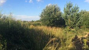 Прыжок толстого