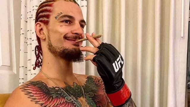 Ян-О'Мэлли UFC280 /прогноз и мнение/