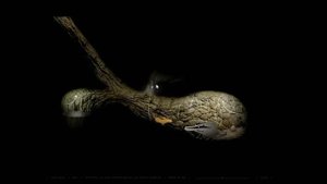 Полное прохождение игры Samorost 2 от Geniym