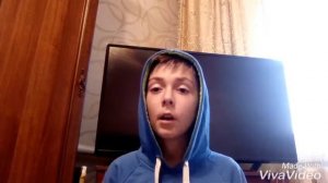 Стоит ли заводить котёнка