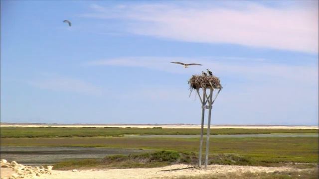 Путешествие с фотографом на край географии (Мексика) на канале Travel+Adventure смотреть онлайн