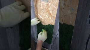 Укладка стабилизированного моха на стену . Картина пано с моха