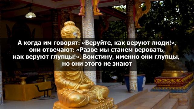 Сура аль-Бакара - очень красивое чтение. Слушайте Коран каждый день. Чтец: Билал Дарбали