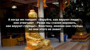 Сура аль-Бакара - очень красивое чтение. Слушайте Коран каждый день. Чтец: Билал Дарбали