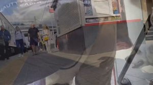 В поезде с собакой