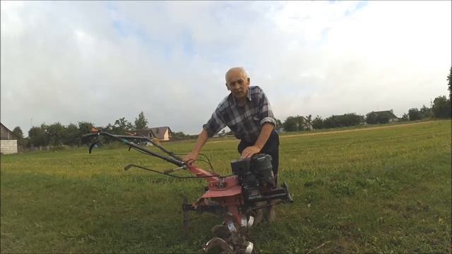 Урожай лук и чеснок 2. смотреть онлайн