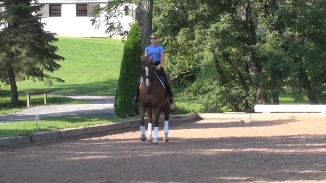 Galatea смотреть онлайн
