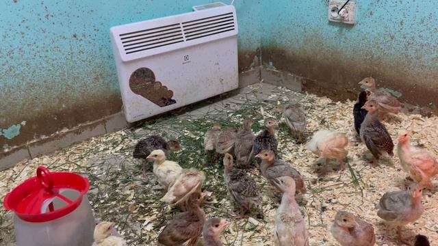 30-05-2023 смотреть онлайн