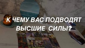 Таро расклад для мужчин. К Чему Вас Подводят Высшие Силы?