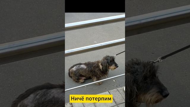 Чем дольше подожду - тем больше получу