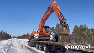 Без названия