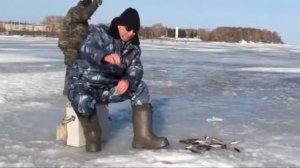 Пучеж Зимняя рыбалка