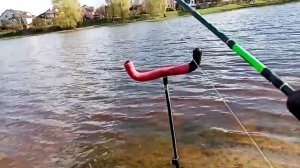 темповая ловля огромной уклейки и плотвы на пикер