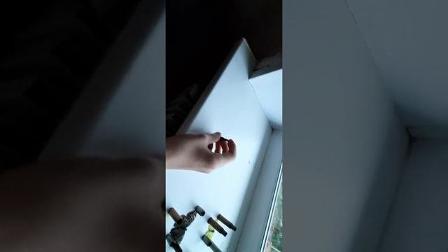 Как расправить и высушить бабочек используя гильзы.