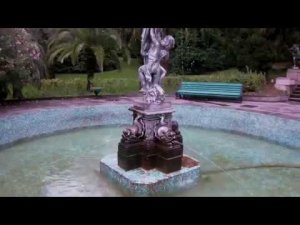 Сочи парк Дендрарий